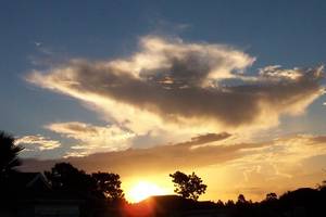 00123_floridamorning_1680x1050