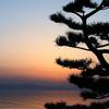 00346_biwako_1680x1050